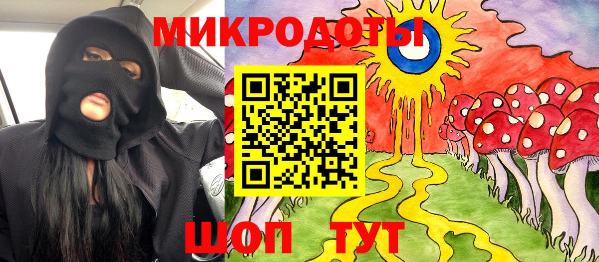 Галлюциногенные грибы Psilocybine cubensis Артём